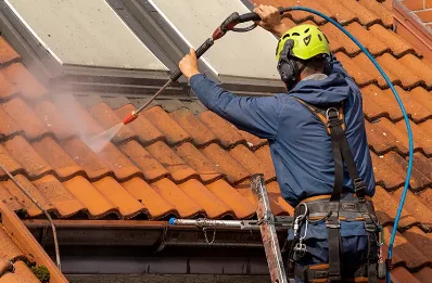 Démoussage et hydrofuge de toiture au Genest-Saint-Isle